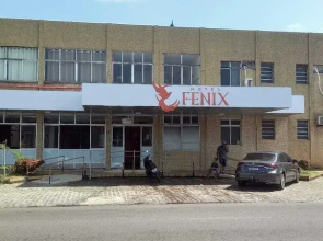 Hotel Fenix