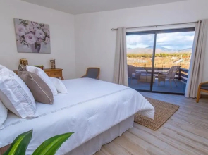 Wine Country Valle de Guadalupe