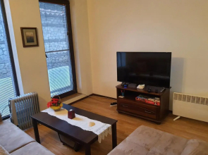 Homey 1-bed condo, fastest internet, free parking