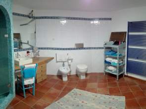 La Forma Dell'acqua