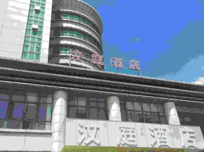 Hanting Hotel (Shanghai Caojing Industrial Park)