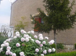 Bed & Breakfast Il Castello Di Barcaglione