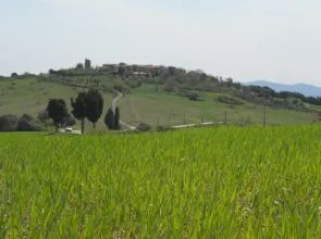 CASAMELIA