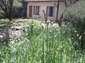 La Haciendita Hostel