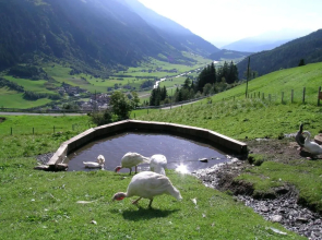 Joglerhof