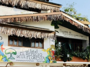 Eco hotel the refuge of the forest