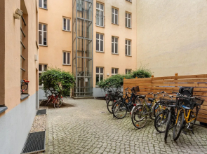 Numa Berlin Kater