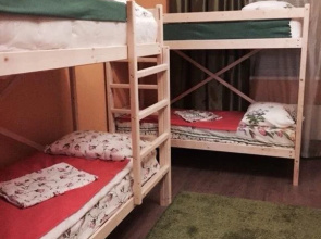 Hostel Zelenograd
