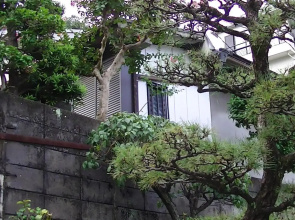 Minshuku Chatamago