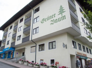 Apartment Grüner Baum Alpendorf