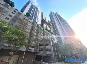 M City Service Suite