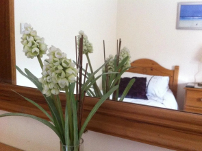 Little Grey Cottage B&B