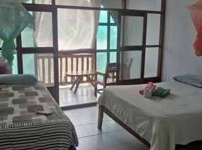Hostal El Lobo - Adults Only - Hostel