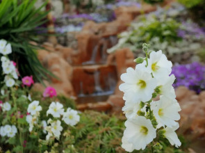 Renaissance Sharm El Sheikh Golden View Beach Resort