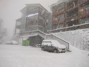 Satopanth The Auli Resort
