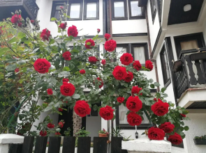 St. Varvara Apartments