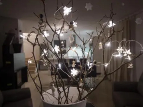 Apartments Teja