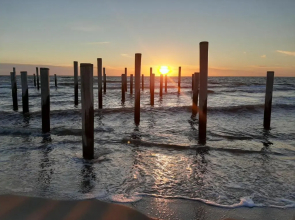 Boshuisje Petten aan Zee