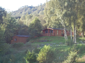 Cosy Rowan woodland lodge no3
