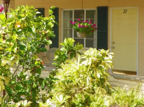 Island Breeze Inn