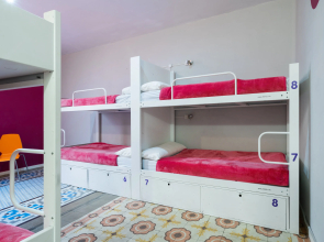 Purple Nest Hostel