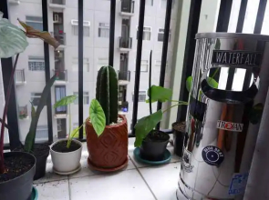 Bobo Grand Asia Afrika Apartment