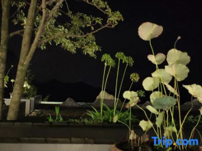 Yunyin Qingcheng Hot Spring Resort Hotel