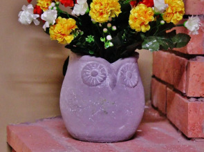 Гостиница Red Fox Guesthouse