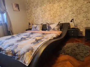 Comfort Home Apartment 1