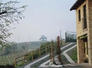 AgriSuite Il Cedro
