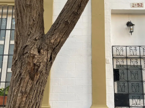 La casa de Madamme Cocotte