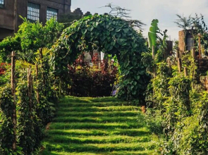 The Old Kings Lodge and Resort