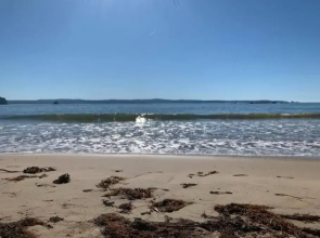 Sunny, 2-bedroom apartment with pool, 200m from Caseys beach