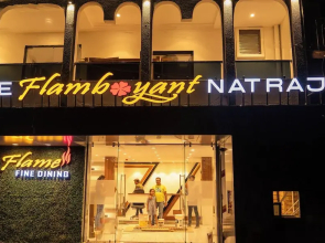 The Flamboyant Natraj