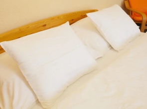 Wellness Penzion U Muzea