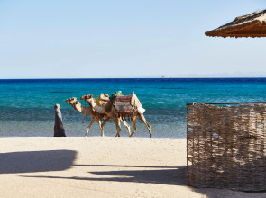 Отель Kempinski Hotel Soma Bay