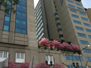Marriott Buenos Aires Downtown