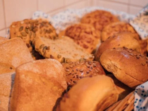 Slottsskogens Hostel