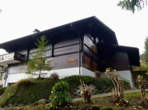 Chalet Waldchutz - 2 Stock Lenk