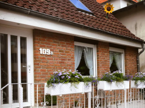 Das Sonnenblumenhaus