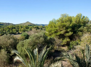 Fonda Las Palmeras