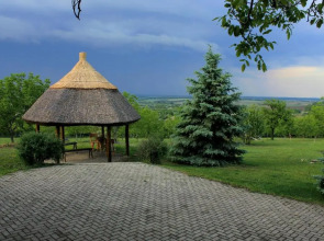 Dióliget - Diófácska Présház