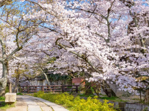 Grand Fine Kyoto Okazaki