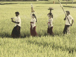 Madani Antique Villas