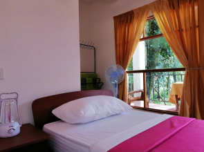 Mars Wonderland View