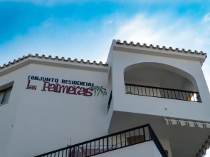 Palmeras 31 Menyber