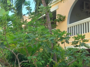 Northshore Seaside Suites