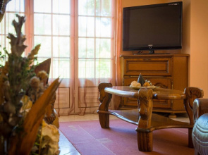 Pet Friendly and Gametable - Mystay
