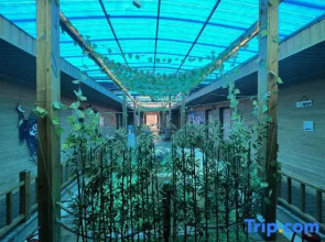 Changdao Fuxin Homestay