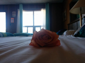 All Tucked Inn